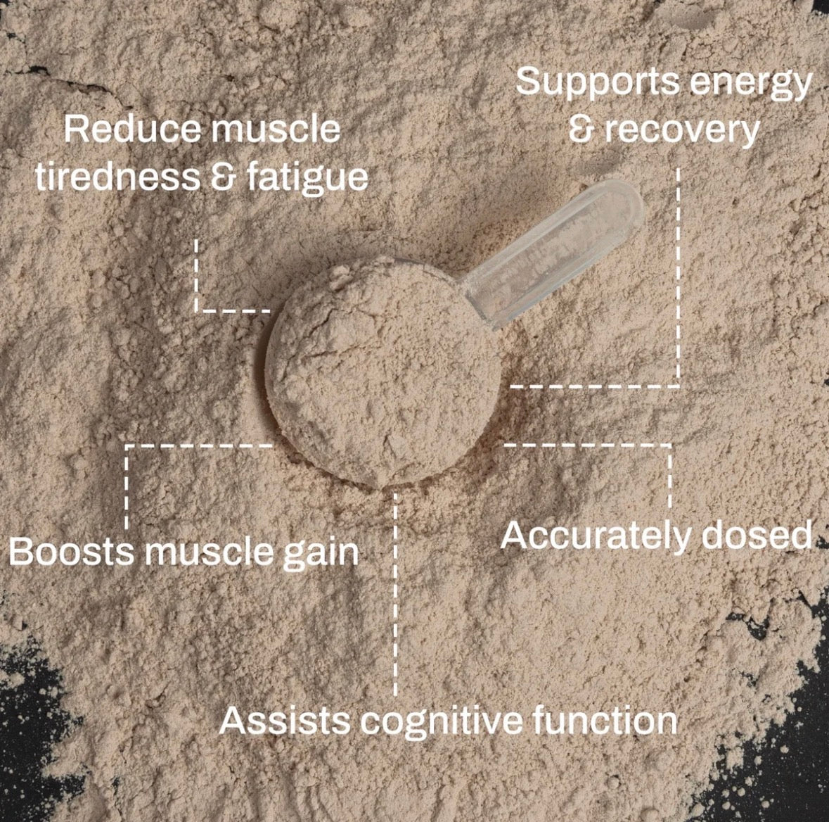 ATP Science - NOWAY!® Creatine + Electrolytes