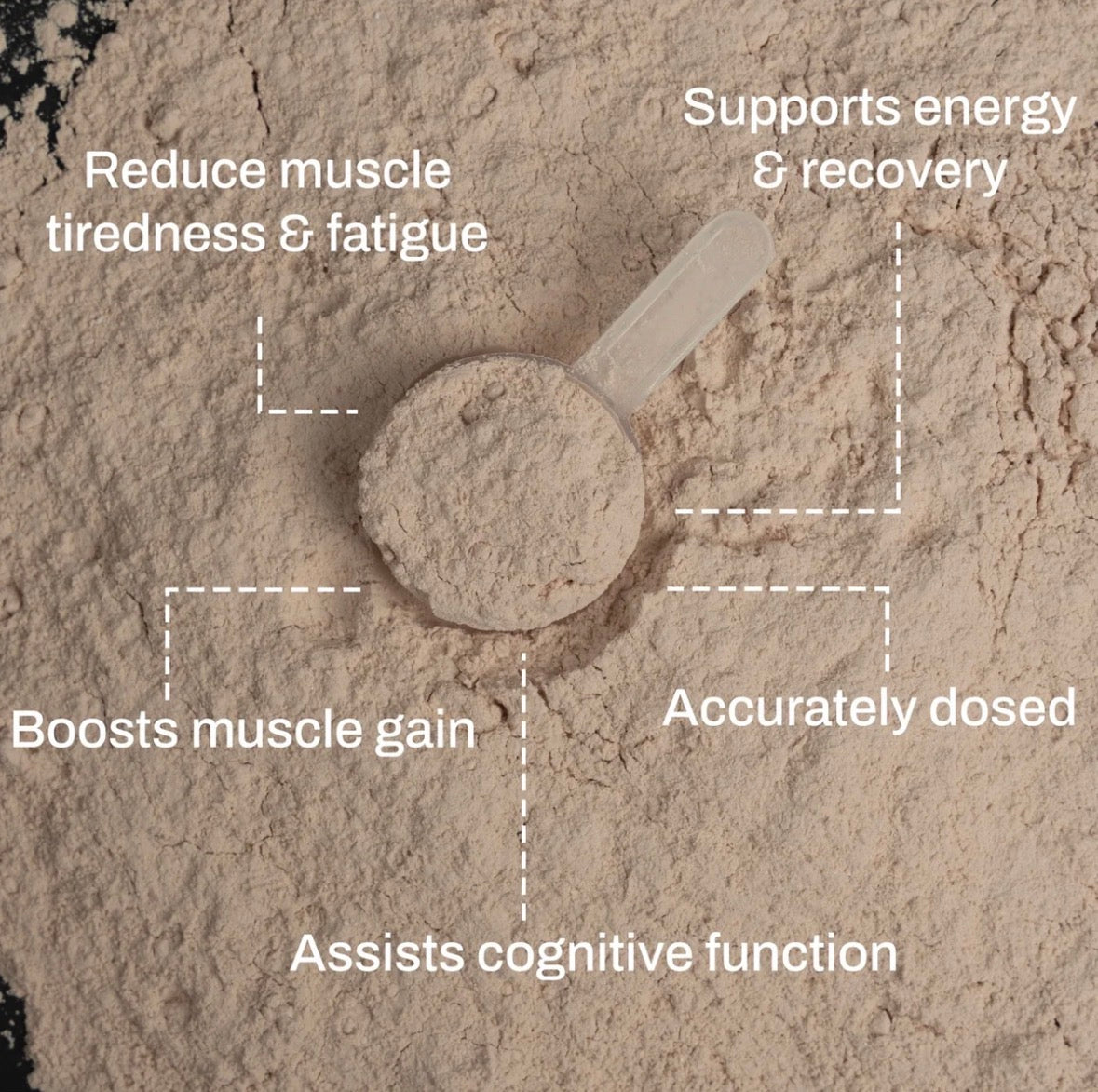 ATP Science - NOWAY!® Creatine + Magnesium