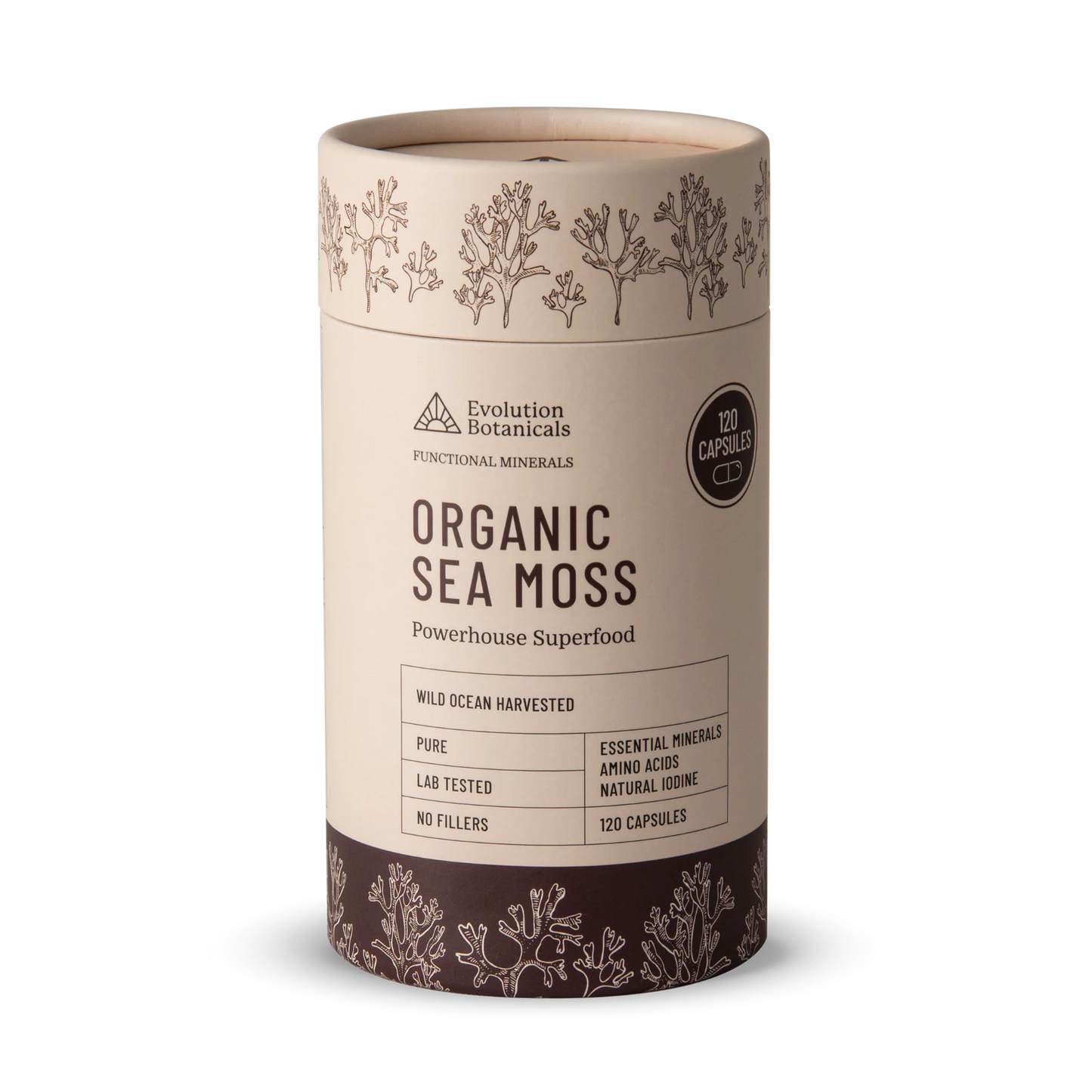 Evolution Botanicals - Organic Sea Moss