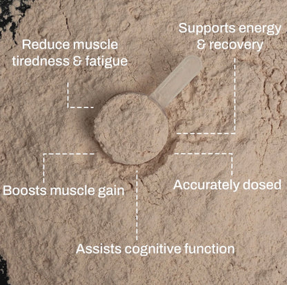 ATP Science - NOWAY!® Creatine + Magnesium