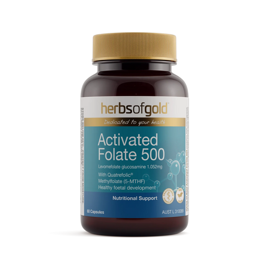 Herbs of Gold - Activated Folate 500
